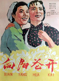 成年人视频在线看